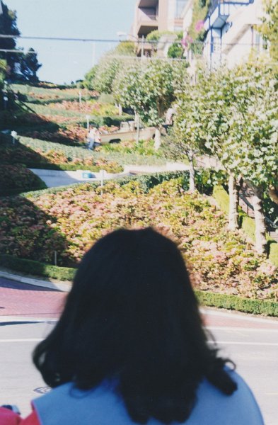 032-Lombard Street from the bottom.jpg